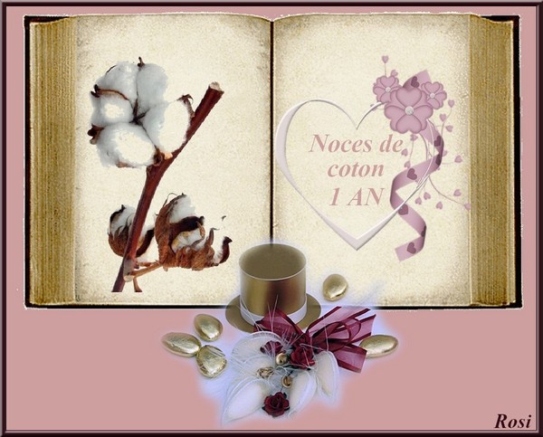 1 AN DE MARIAGE NOCES DE COTON