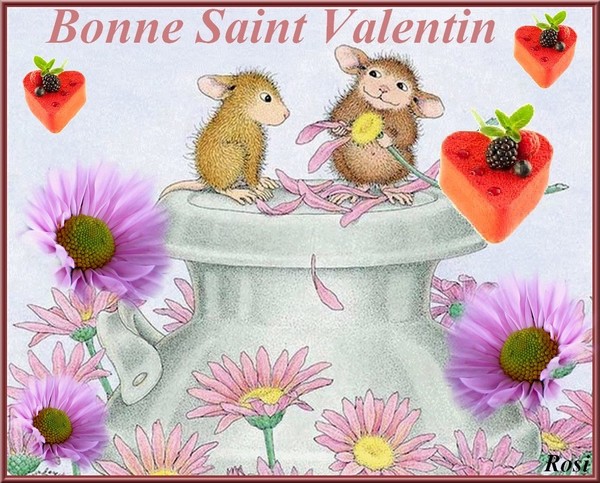 BONNE SAINT VALENTIN