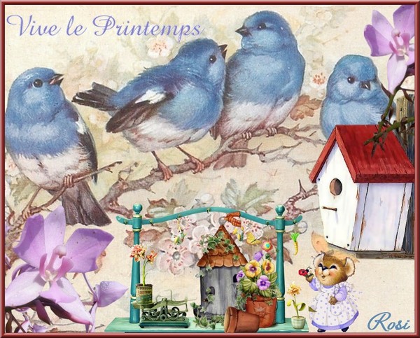 VIVE LE PRINTEMPS