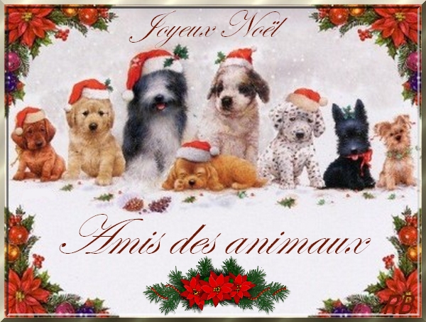 * Noël et les animaux -- Images & Joyeuses fêtes. * par marie-andree