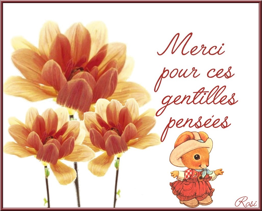 Merci Pour Tous Ces Bons Moments Passés Ensemble MERCI POUR CES GENTILLES PENSÉES