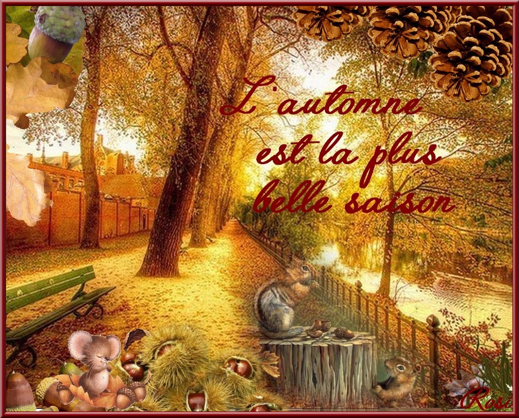 L'AUTOMNE EST LA PLUS BELLE SAISON